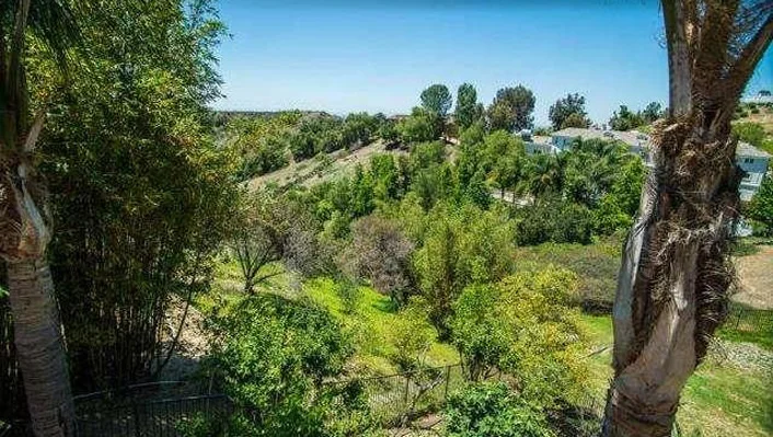 8135 Stoneridge Drive photo 29