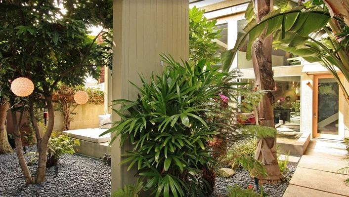 819 Dickson St photo 4