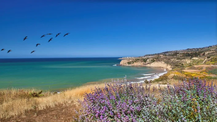 85 Yacht Harbor Drive photo 13