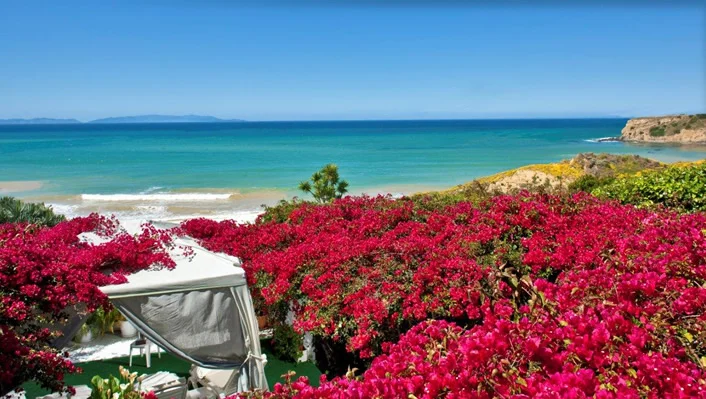 85 Yacht Harbor Drive photo 9