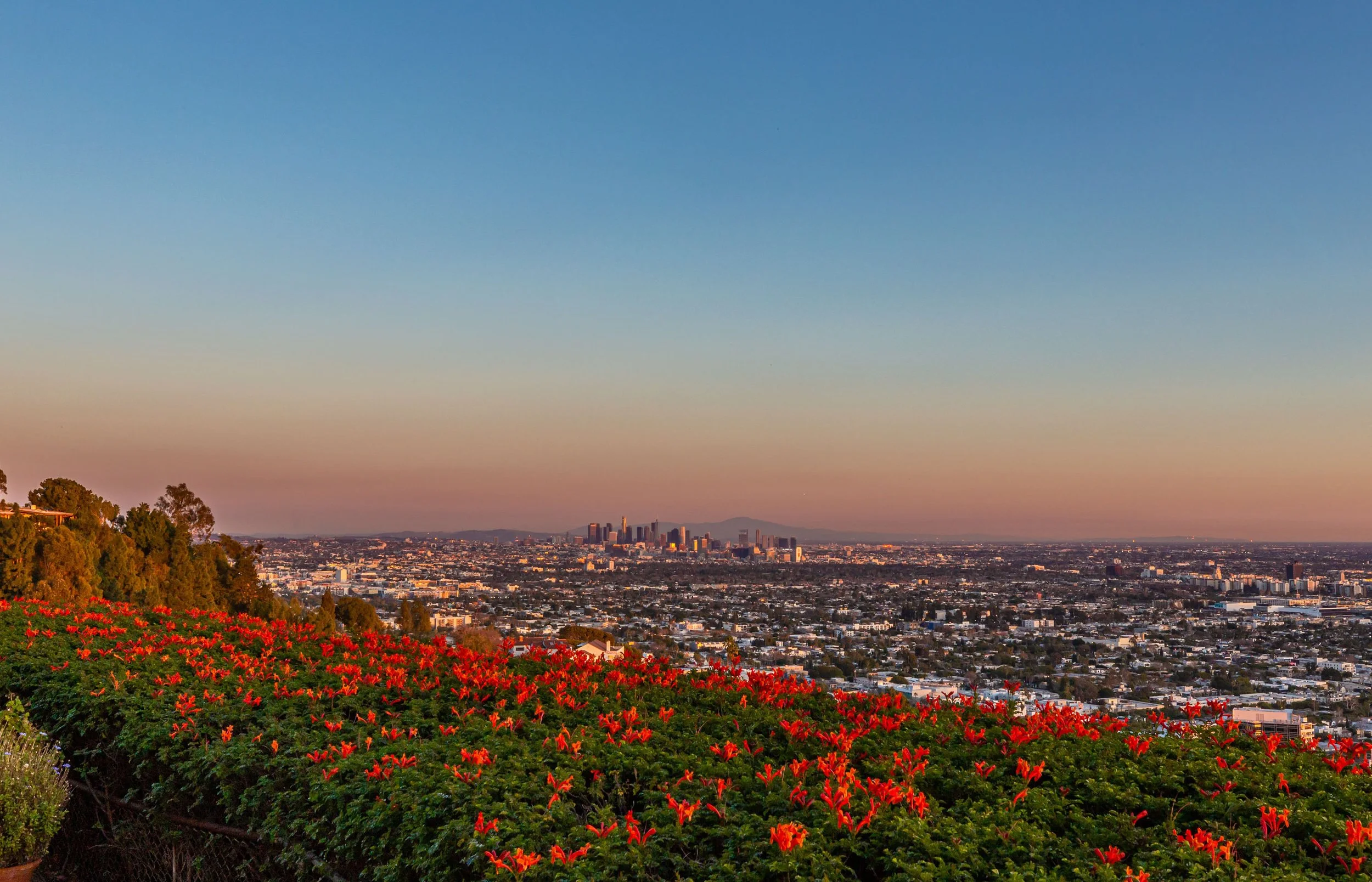 8900 Evanview Drive photo 17