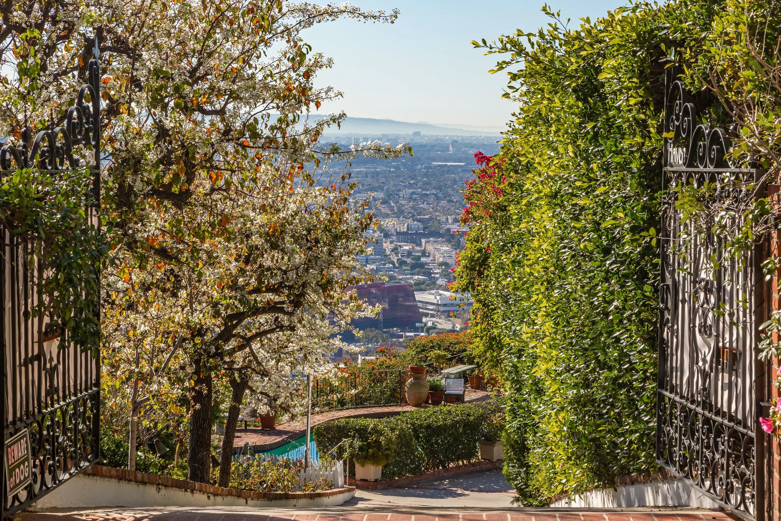 8900 Evanview Drive photo 2