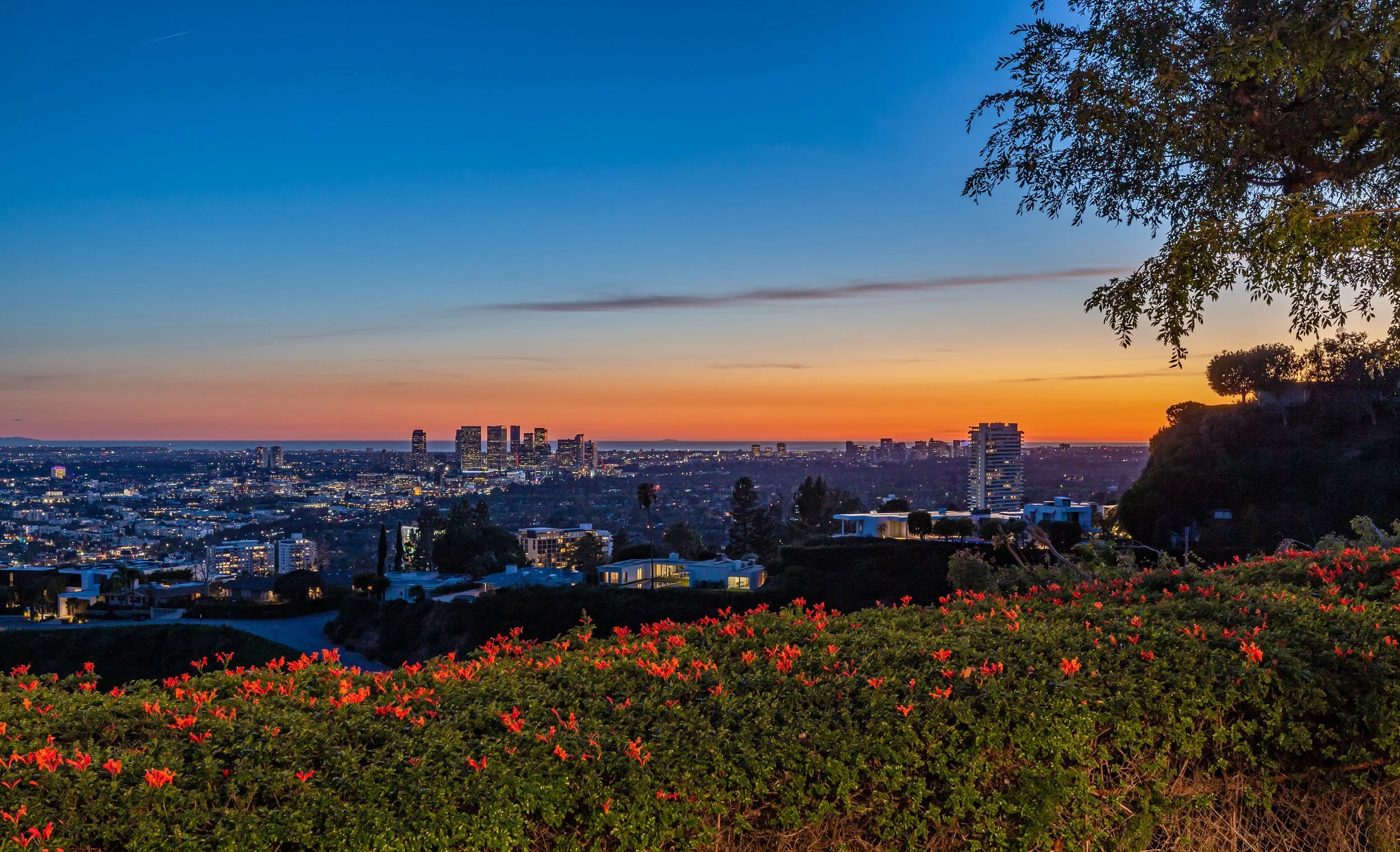 8900 Evanview Drive photo 23